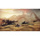 Playstation Horizon Forbidden West | PS5 Game 7