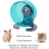 Rosewood Rosewood Pico Exercise Wheel for Hamsters with Stand, Teal 5