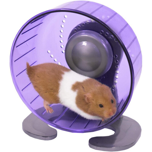 Rosewood Rosewood Pico Exercise Wheel for Hamsters with Stand, Teal 2