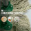 2x Colour Coded Floor Mop Green Heads Handle Replacement Heavy Duty 5