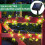 100 LED ηλιακή Powered κισσός Fairy φώτα κήπου υπαίθρια φώτα φράχτη τοίχου 3