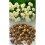 20 kg WHITE CHEERFULNESS DOUBLE DAFFODIL 1