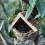 Selections Woven House Martin Bird Nester with Roof 4