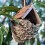 Selections Woven House Martin Bird Nester with Roof 3