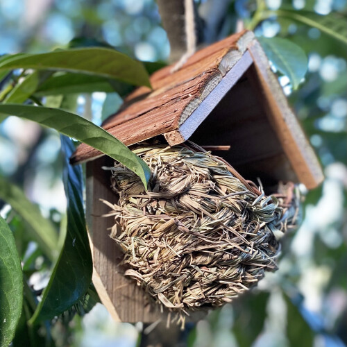 Selections Woven House Martin Bird Nester with Roof 2