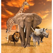 African Safari Animals Unite Night Panel 100% Cotton Print Fabric