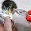 Knipex Alicate universal compacto 145 mm - KNIPEX - 0822145 4