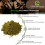 (2kg) 100% Pure Hemp Protein Powder - Huge 61.6% Protein 3