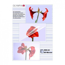 Olympia 9174 80 mic, DIN A3 Laminating Pouches – Pack of 50