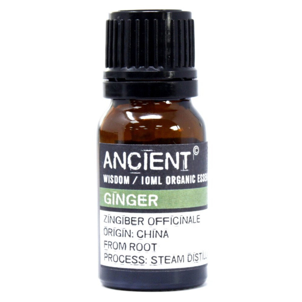 Ancient Wisdom Ginger Organic Essential Oil 10Ml