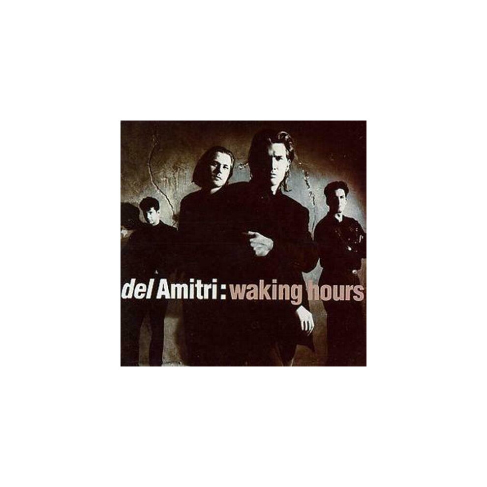 Cd Del Amitri Waking Hours (1995)