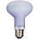 Exo Terra Daylight Basking Spot Bulb, 100 W 1