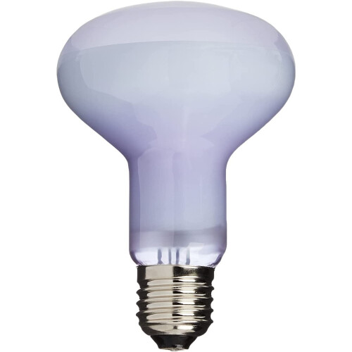 Exo Terra Daylight Basking Spot Bulb, 100 W