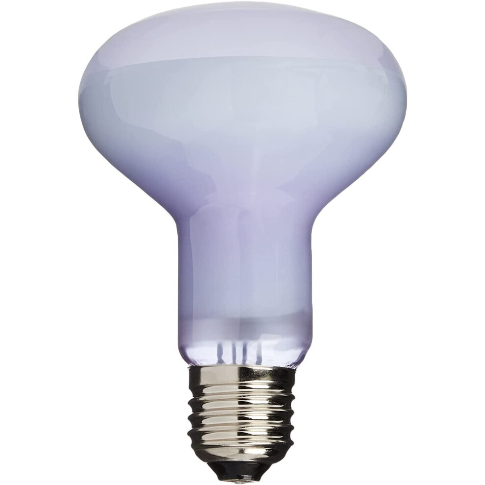 Exo Terra Daylight Basking Spot Bulb, 100 W