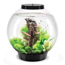 biOrb Classic 30L Aquarium in Black with MCR LED Lighting