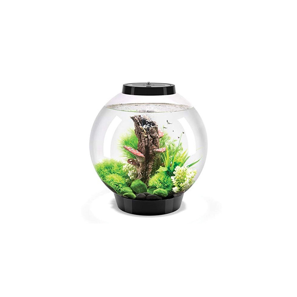 biOrb Classic 30L Aquarium in Black with MCR LED Lighting