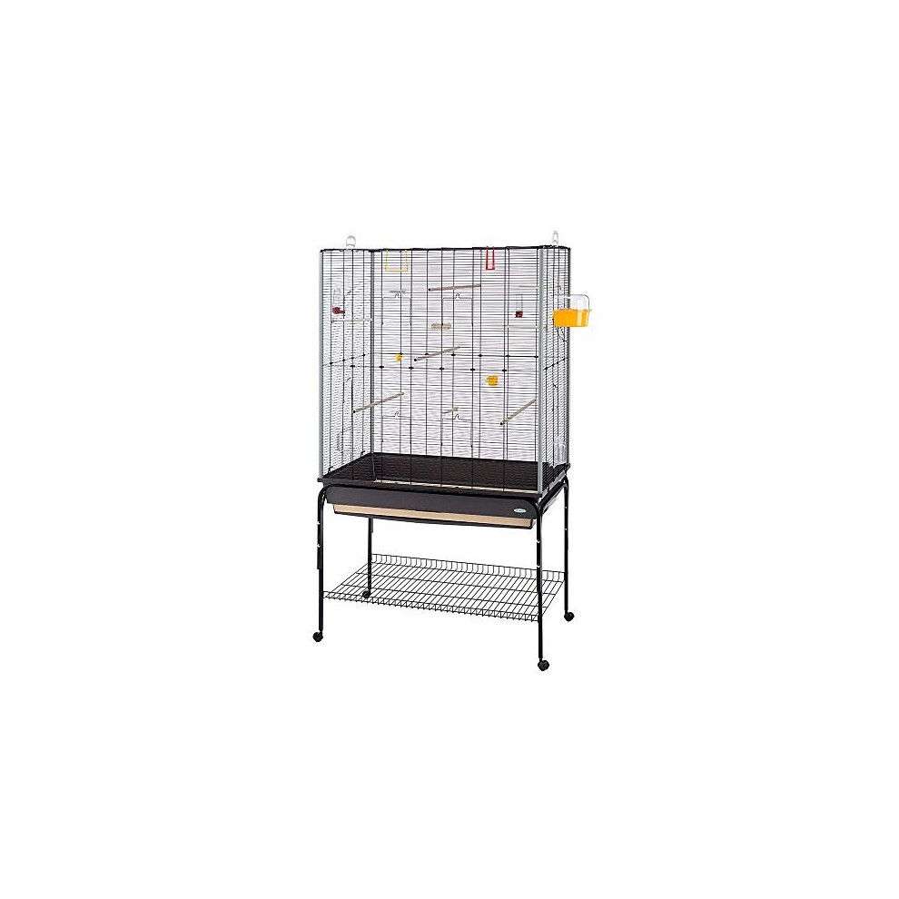 Ferplast Large Cage for Canaries, Budgerigars and Exotic Birds, 97 x 58 x 173.5 cm