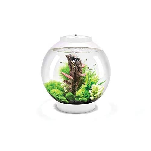 Biorb BiOrb Classic 30L Aquarium in White with MCR LED Lighting