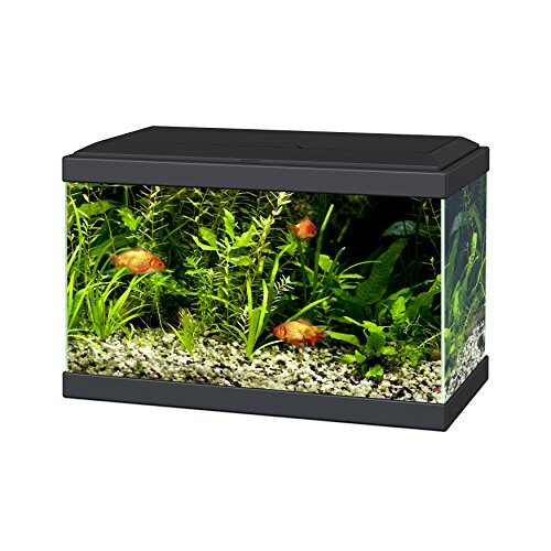 Ciano Aqua 20 Aquarium with LED Lights & Filter BLACK