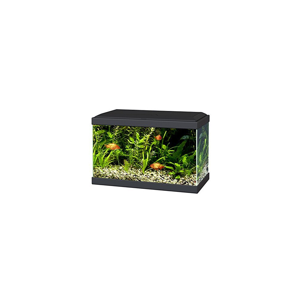 Ciano Aqua 20 Aquarium with LED Lights & Filter BLACK
