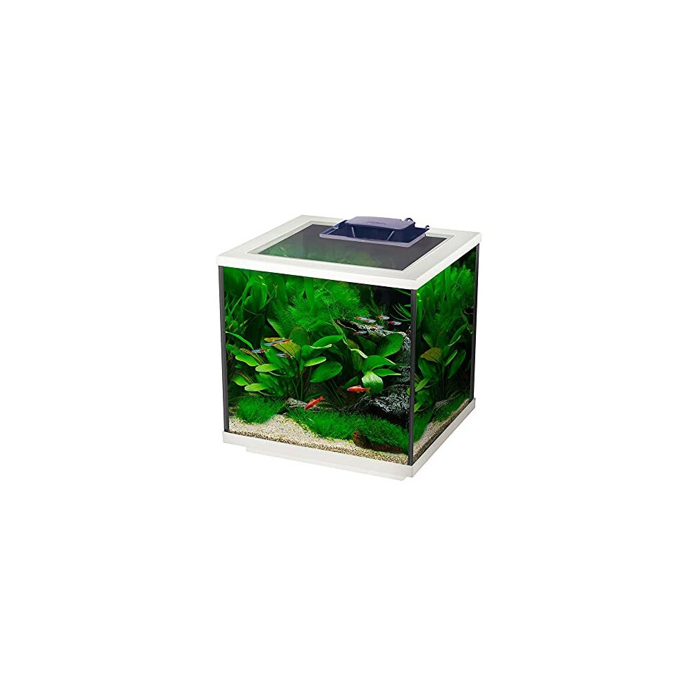 Interpet Aqua Cube Glass Fish Tank Aquarium with Integrated LED Lighting and Easy Care Filter, 28L, Clear/White