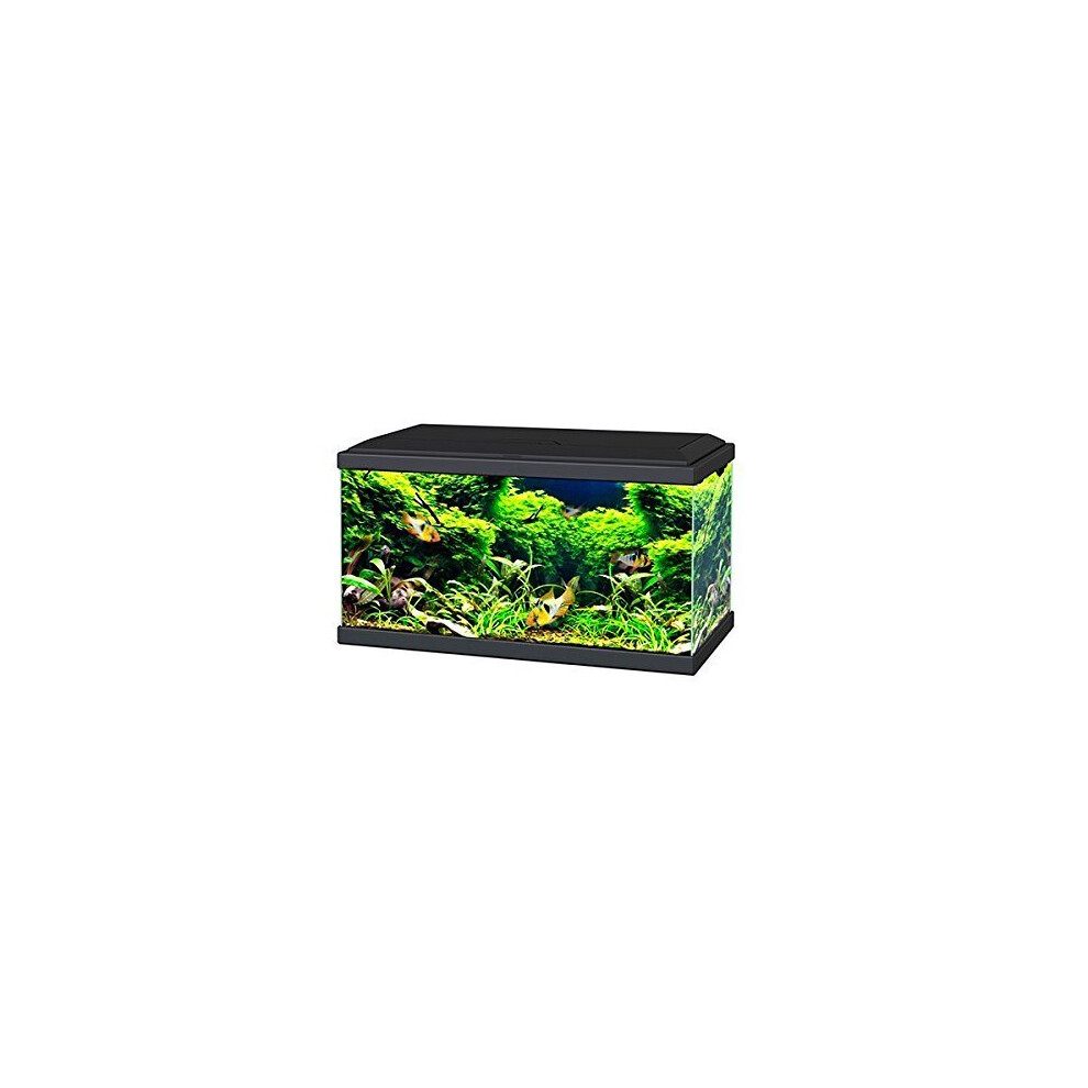 Ciano Black Aqua 60 LED Tropical Glass Aquarium - Includes Filter, Lights & Heater 58L