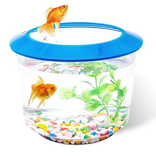 Goldfish kinderkleding sale