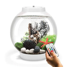 biOrb Baby 15L Aquarium in White with MCR LED Lighting
