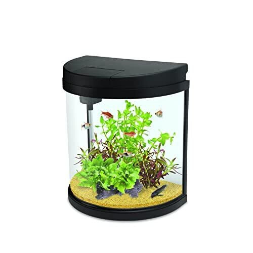 Easy care fish tank best sale