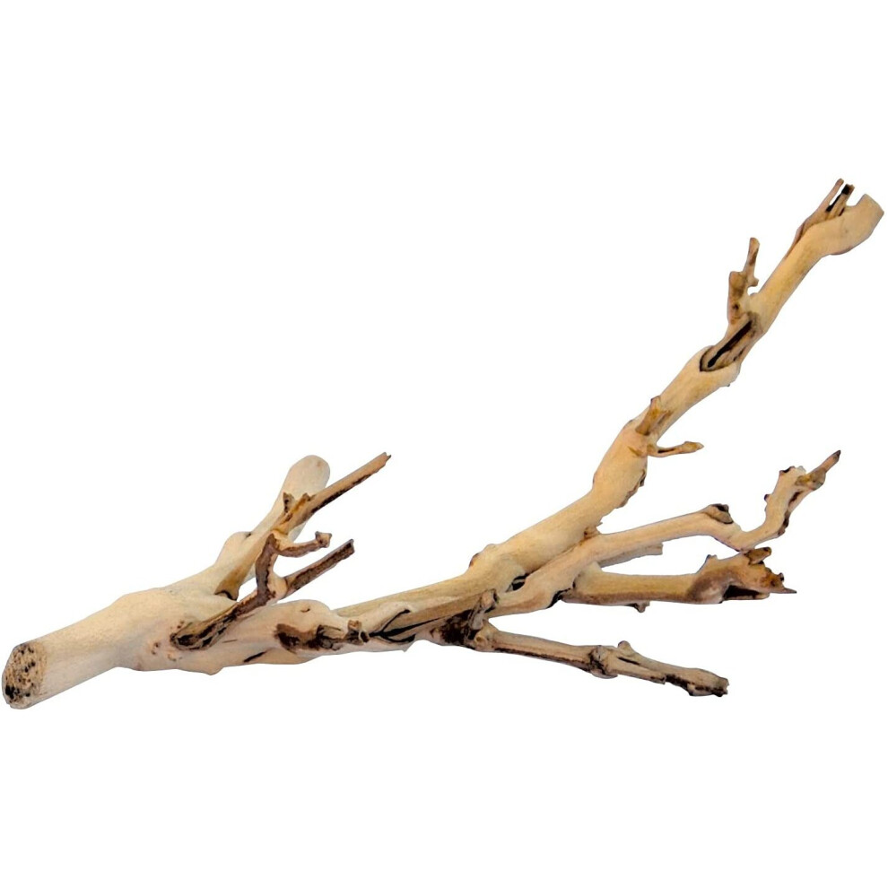 Exo Terra Forest Branch, Small (Exact Size May Vary)