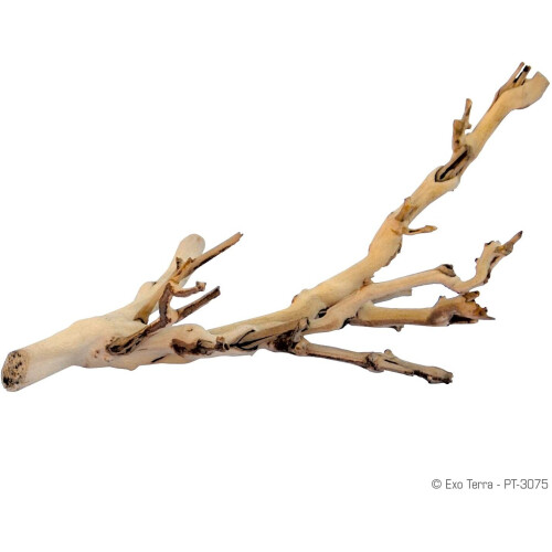 Exo Terra Forest Branch, Small (Exact Size May Vary) 1