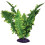 Komodo Komodo Boston Fern, 25 cm 1