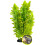 Komodo Komodo Boston Fern, 25 cm 2