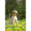 Johnson's Vet Easy One Dose Wormer, Size 2 3