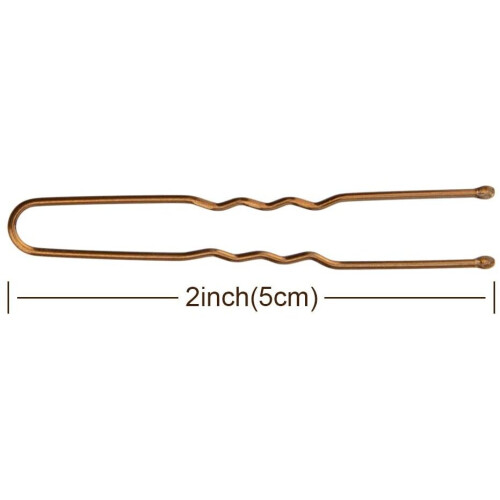 AIEX 200 Pezzi Kit di Fermagli U per Capelli Clip per Donne e Saloni (Bronzo) 1