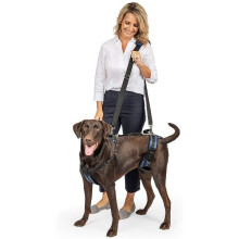 PetSafe CareLift Support Harness - Full-Body Lifting Aid with Handle - Great for Pet Mobility and Older Dogs - Comfortable, Breathable Material - Easy
