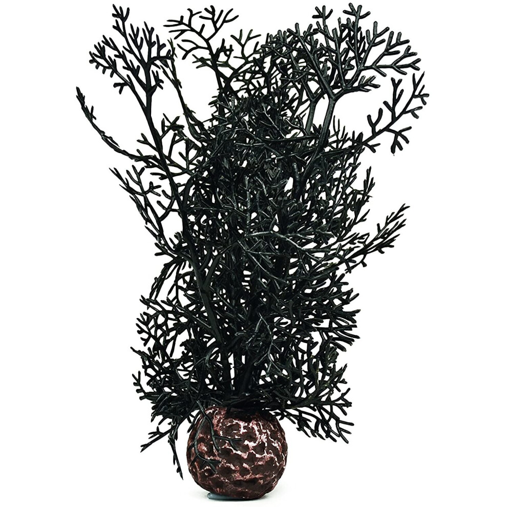 Biorb Sea Fan Small, Black