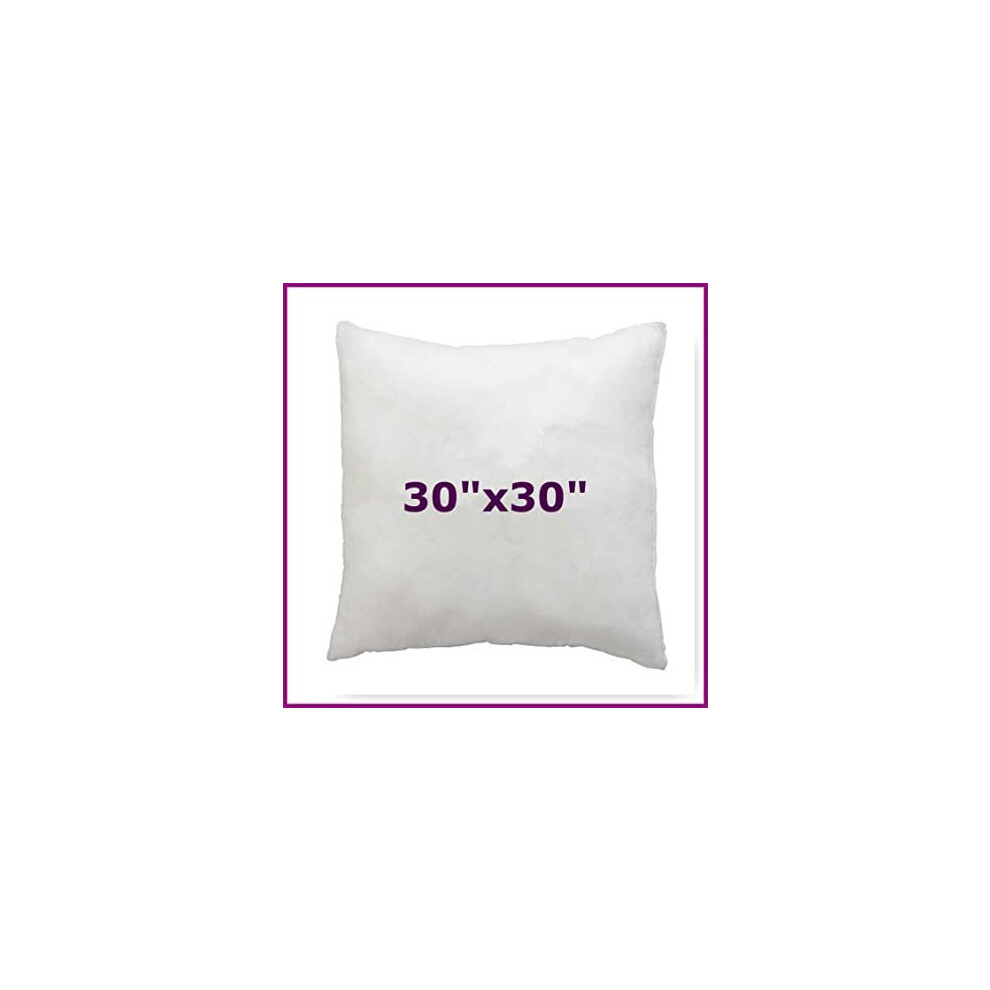 Arlinens (30X30") Hollow Fiber Cushion New Pads Inner Insert Pillow Hypoallergenic Square Cushions For Sofa Bed & Couch White