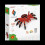 Origami 3D – Spinne 2