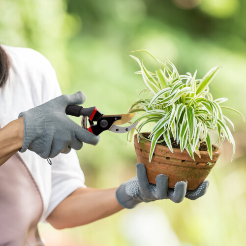 Hand held garden clippers discount
