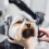 Wahl Wahl Scissors Kit for Pet/Dog Grooming 4