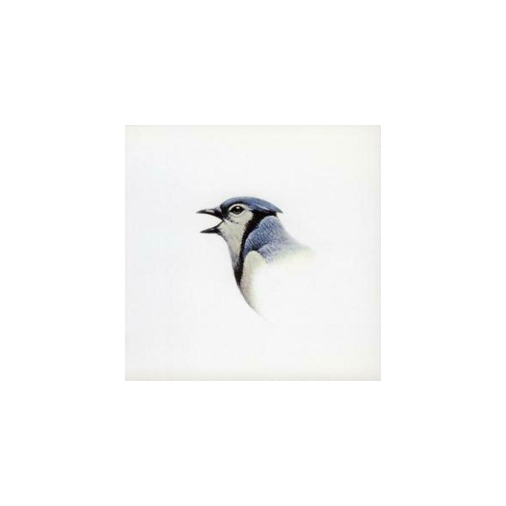The Devlins  Waves CD (2005)