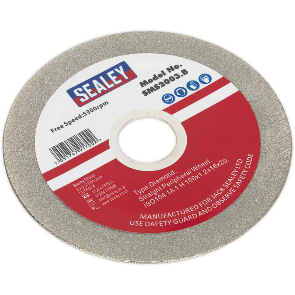 Loops 100Mm Diamond Coated Grinding Disc For Ys08971 Bench Mounted Saw Blade Sharpener