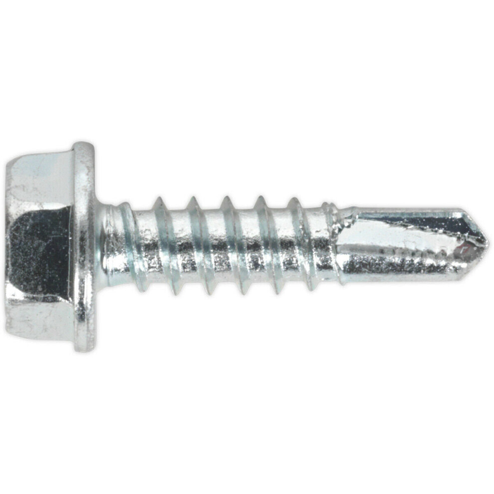 100 PACK 4.8 x 19mm Self Drilling Hex Head Screw - Zinc Plated Fixings Screw