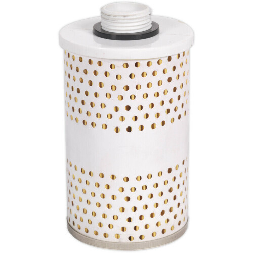 Loops Replacement High Flow Fuel Filter for ys10396 High Flow Transfer Pump Filter