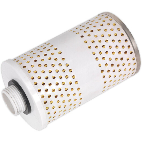 Loops Replacement High Flow Fuel Filter for ys10396 High Flow Transfer Pump Filter 2