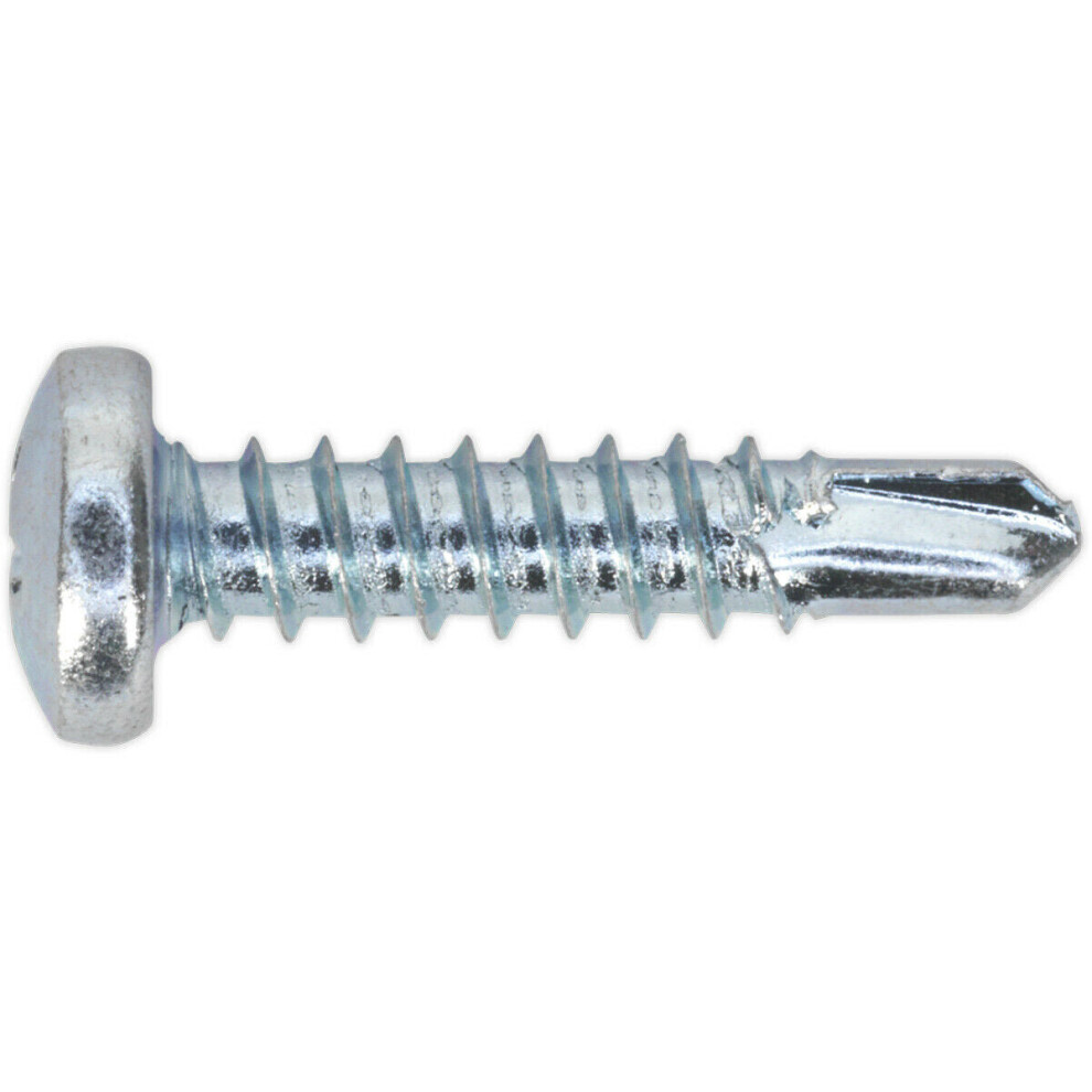 100 PACK 4.2 x 19mm Self Drilling Phillips Pan Head Screw - Zinc Plated Fixings