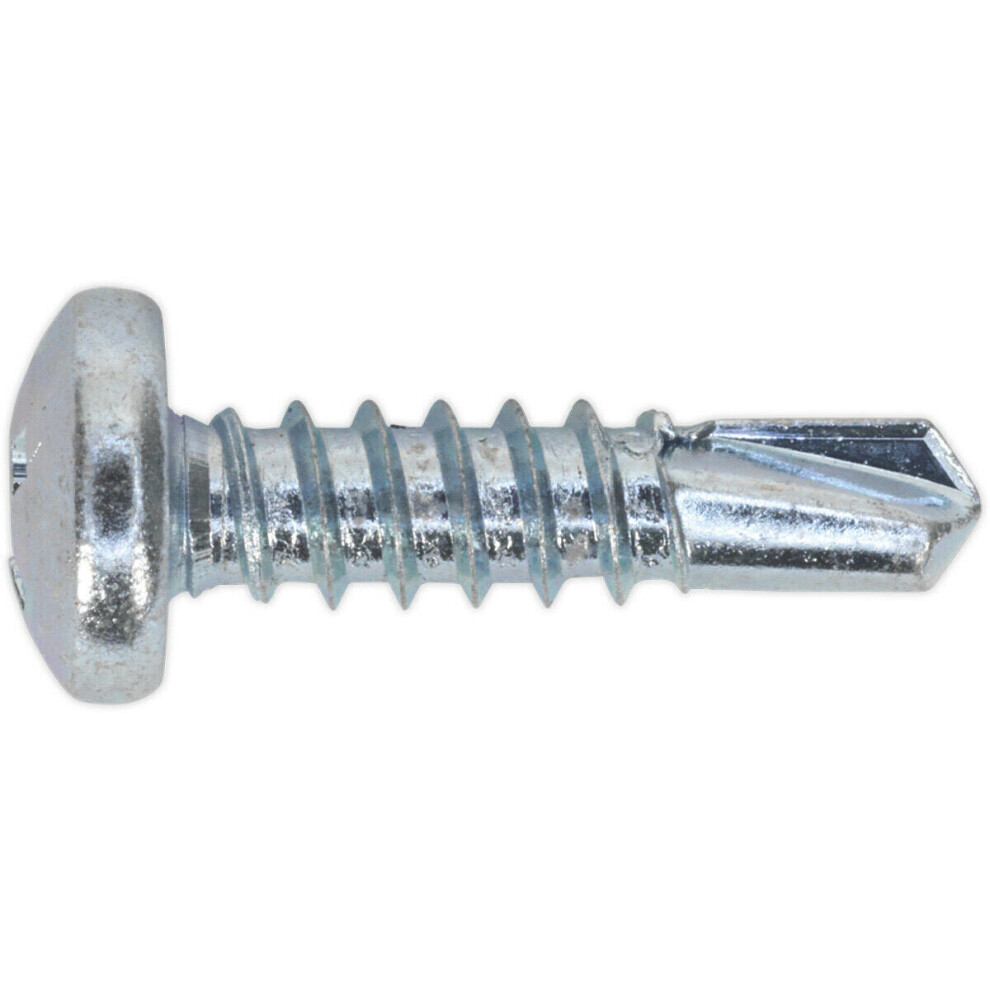 100 PACK 4.8 x 19mm Self Drilling Phillips Pan Head Screw - Zinc Plated Fixings