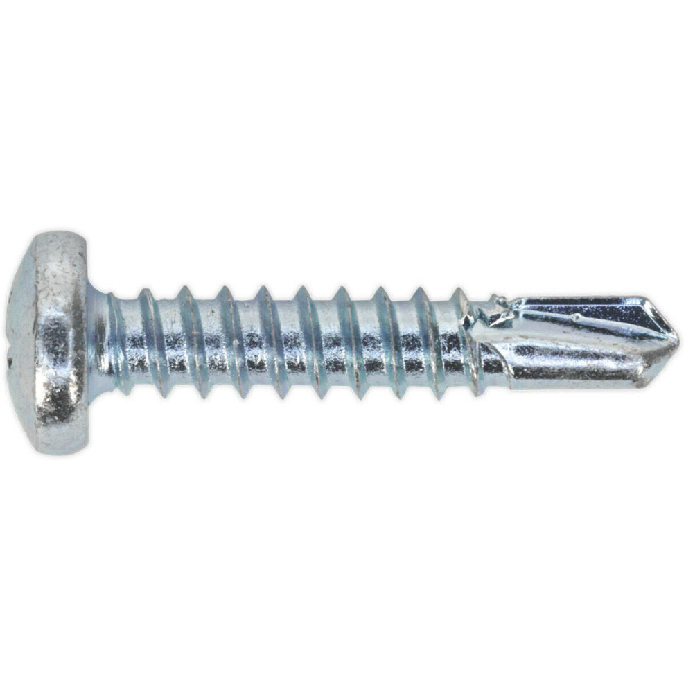 100 PACK 4.8 x 25mm Self Drilling Phillips Pan Head Screw - Zinc Plated Fixings