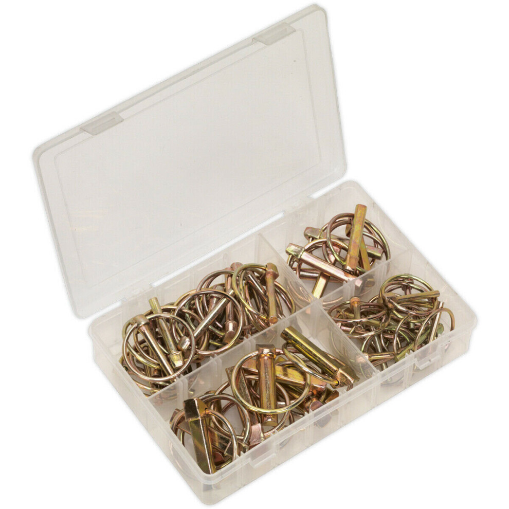 Loops 50 Piece Linch Pin Assortment - Metric Sizing - Partitioned Box - Various Sizes